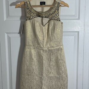 Laundry by Shelli Segal Metallic Gold Mini Dress